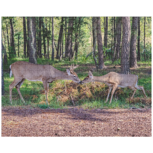 500 Piece Jigsaw Puzzle, Deer Kissing in the Woods