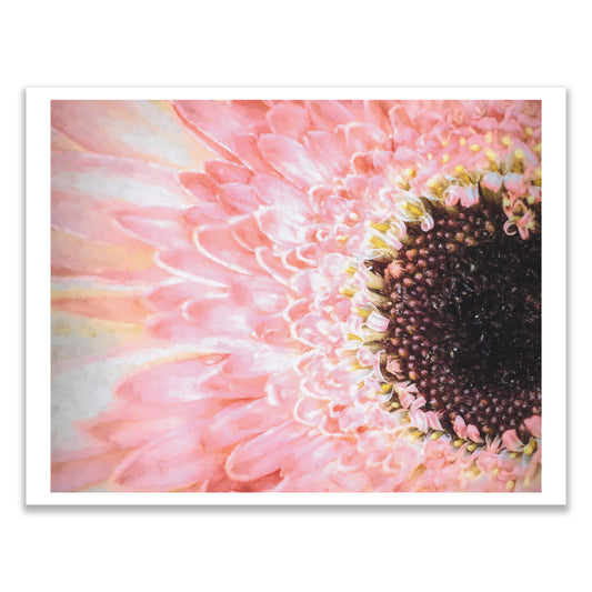 Pale Pink Gerbera Daisy Flower Photography, Painterly Effect