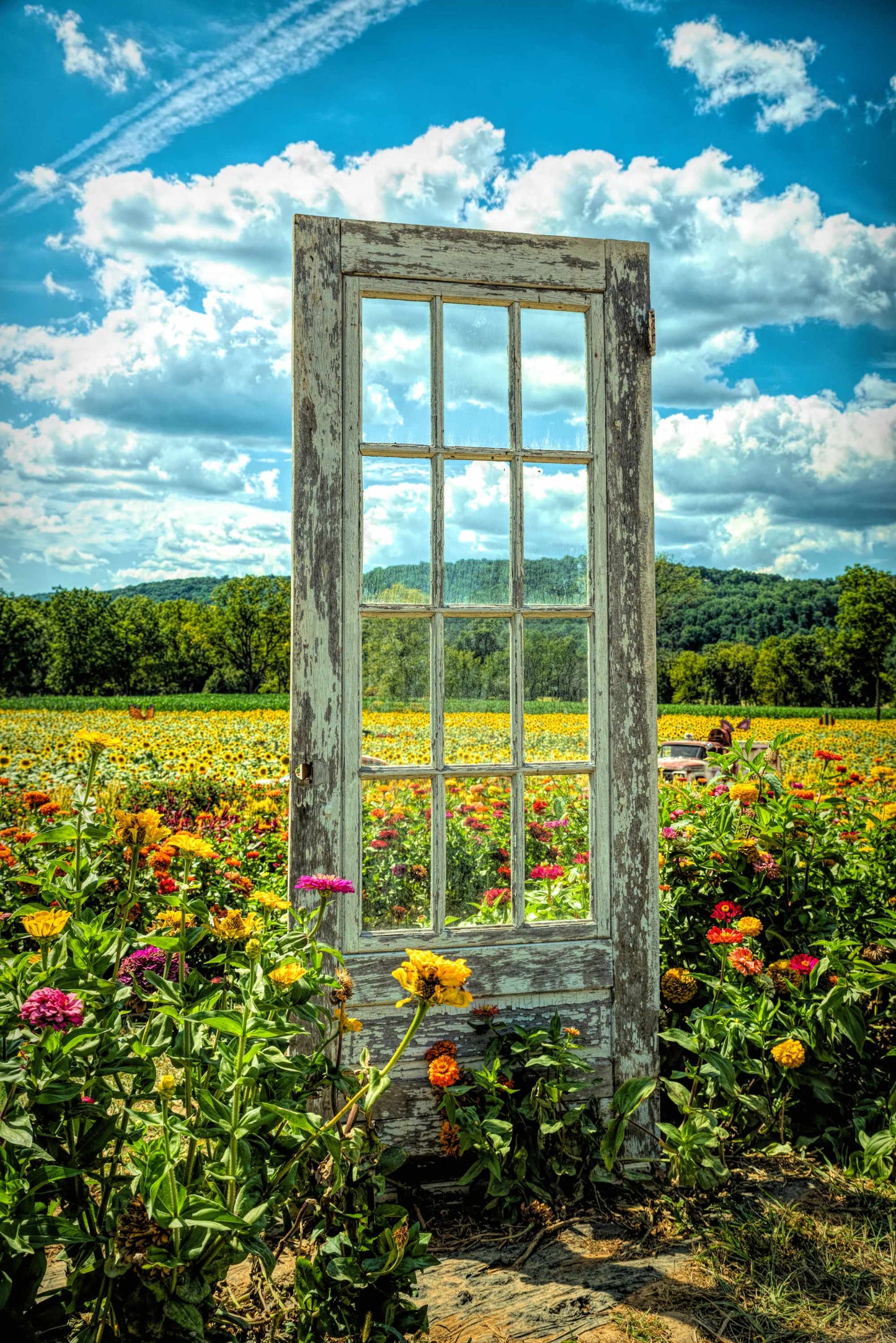 Sunflower Door Photography, HDR Effect