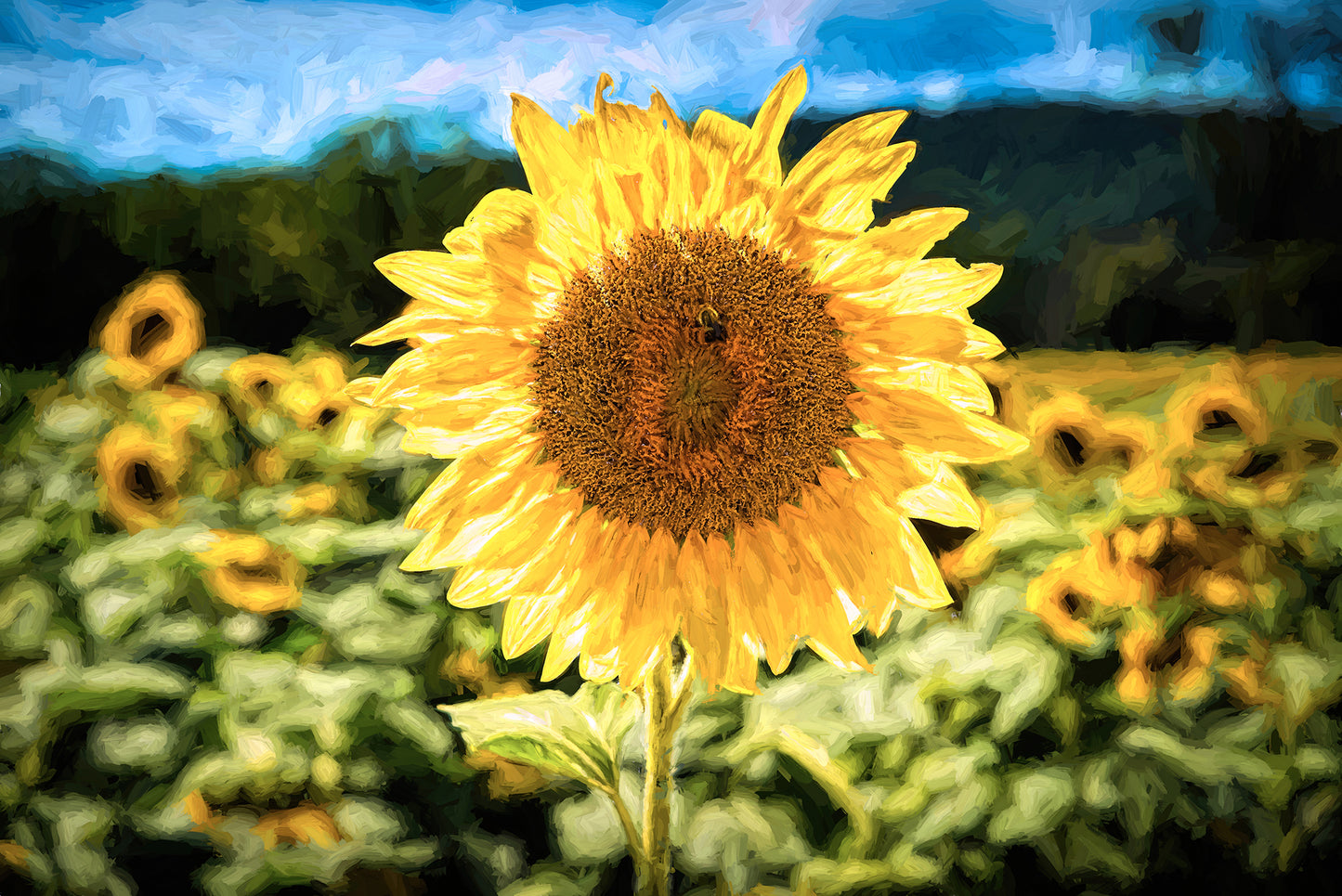 Sunflower with Bee Photography, Painterly Effect, Cotton Paper