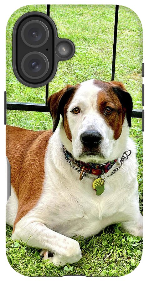 English Foxhound Labrador Retriever Mix Dog - Phone Case