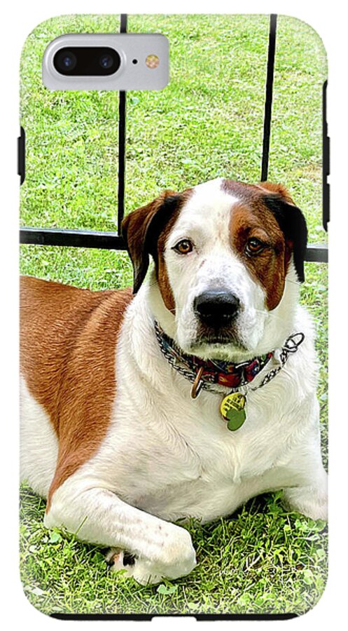 English Foxhound Labrador Retriever Mix Dog - Phone Case