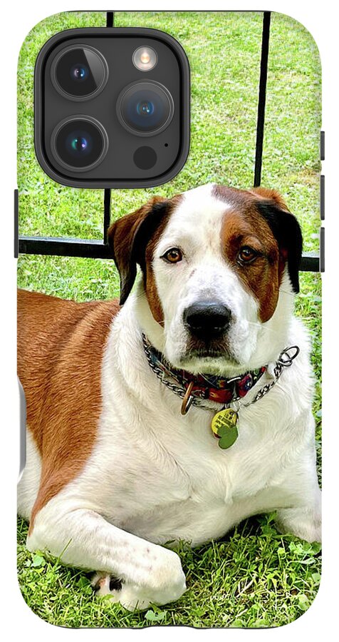 English Foxhound Labrador Retriever Mix Dog - Phone Case
