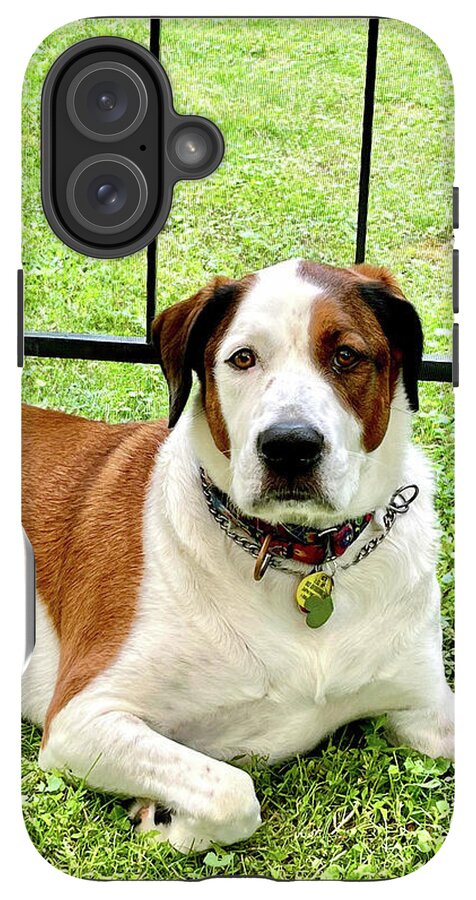 English Foxhound Labrador Retriever Mix Dog - Phone Case