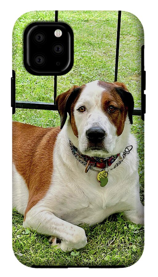 English Foxhound Labrador Retriever Mix Dog - Phone Case