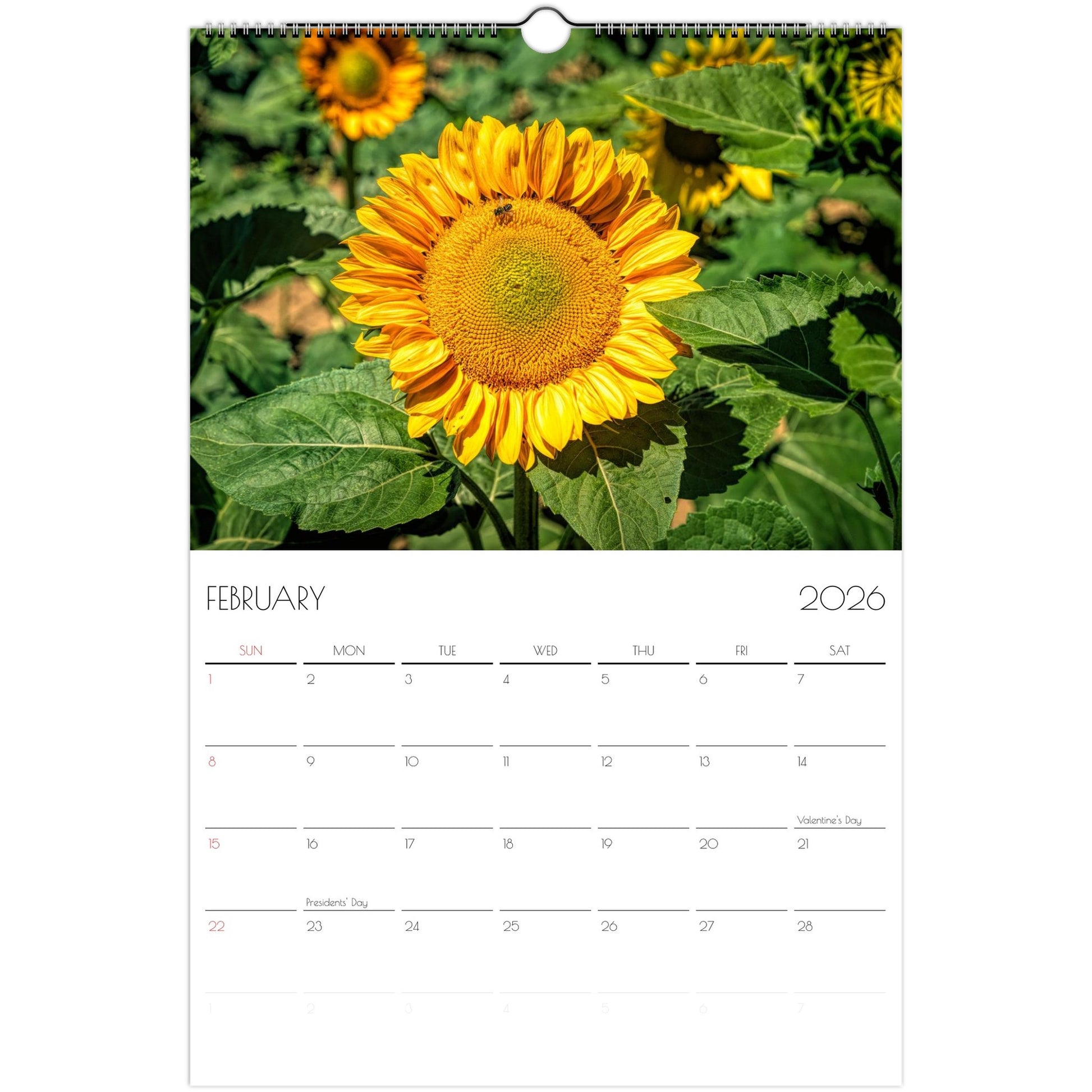 191a5f1d-5b0f-44bf-9c9d-f28f813b6691