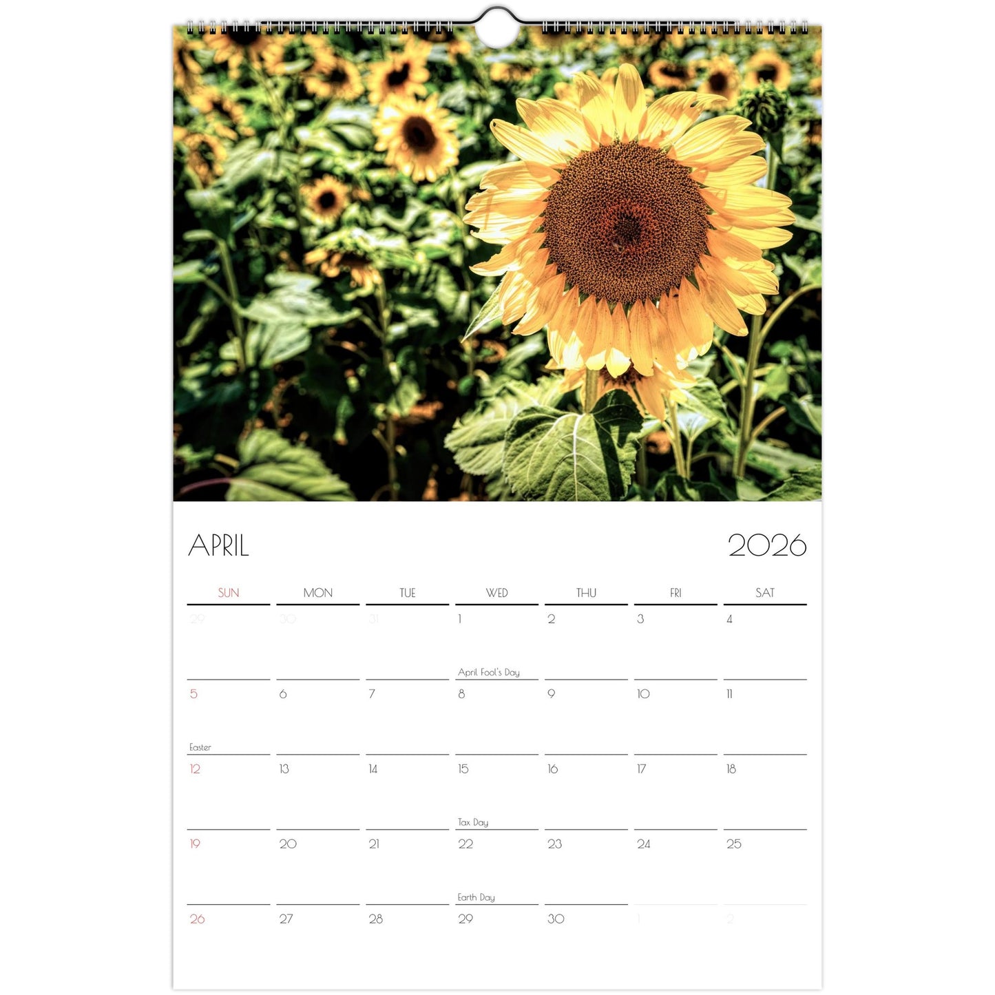 2eb36864-e6dd-4c4d-a707-71164d5adf06