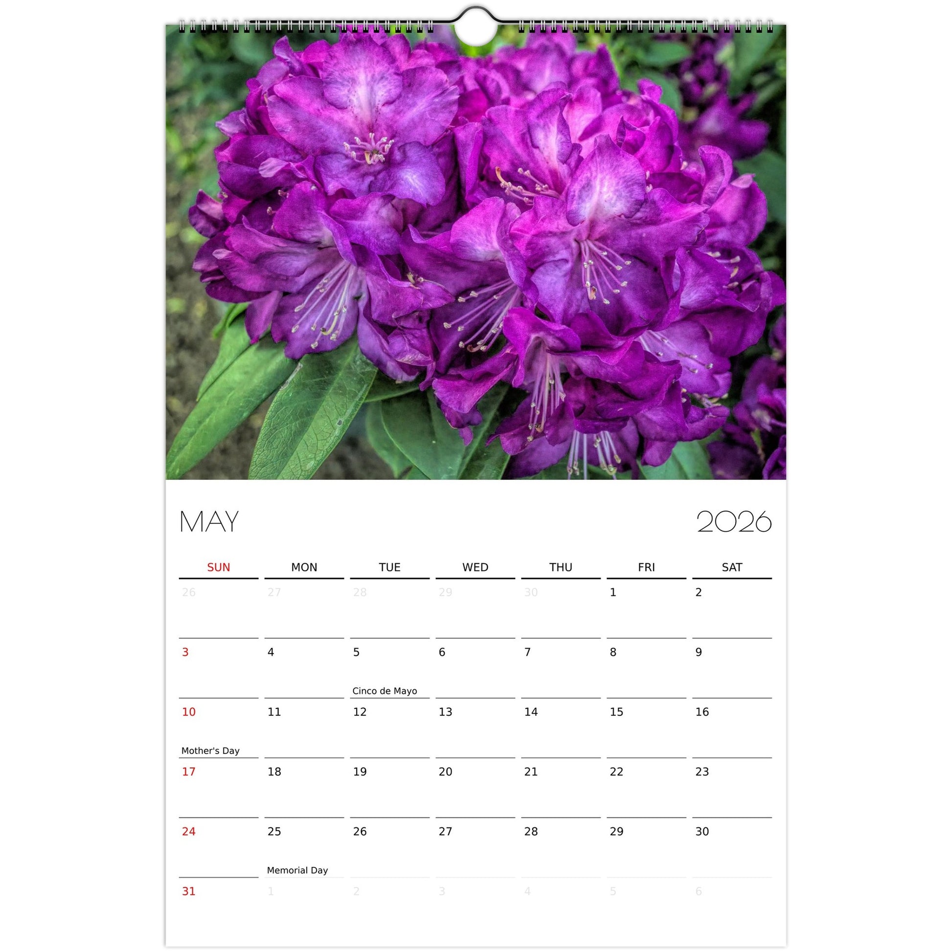 30c0a54d-dcce-4e9a-ad82-69da4898d920