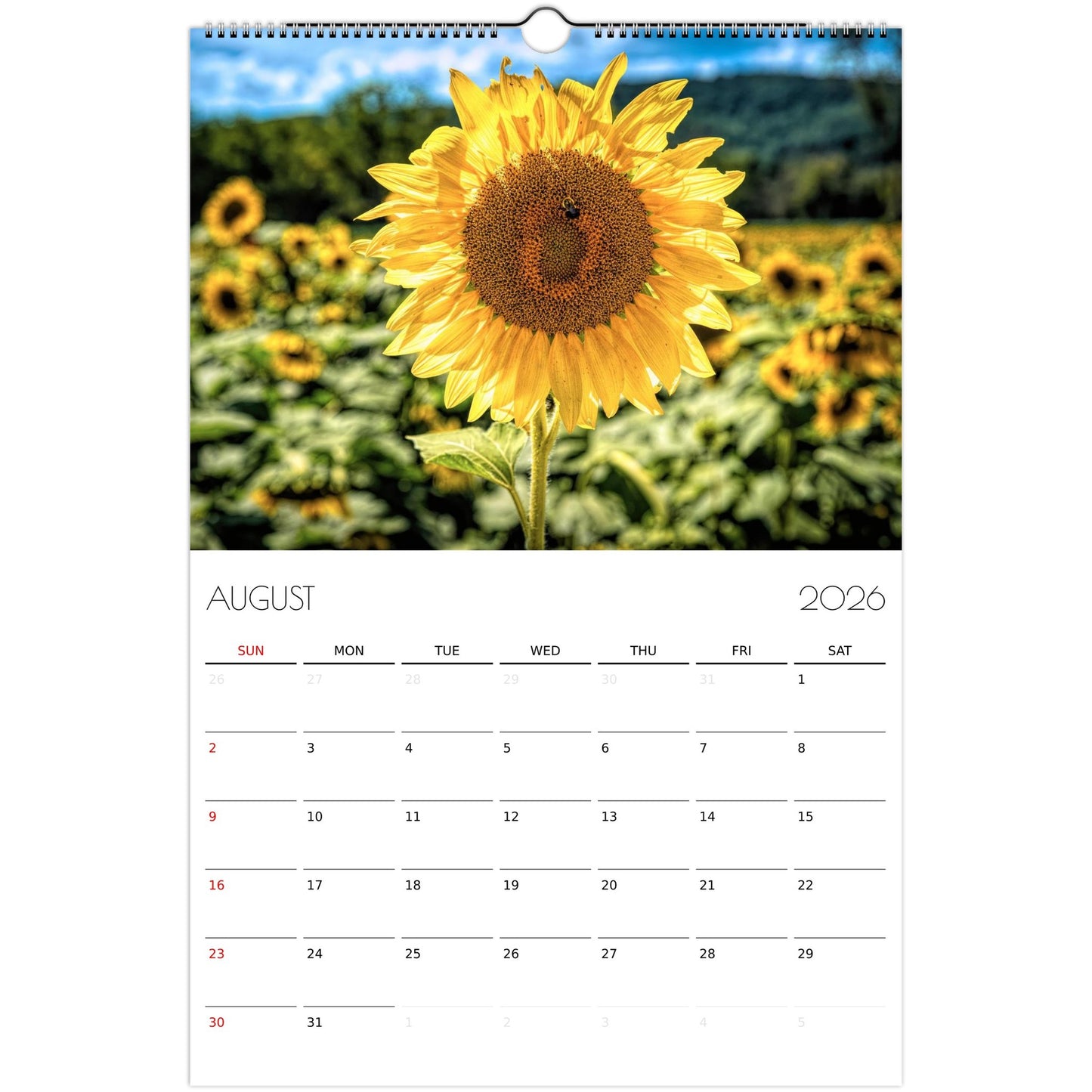 993f3fcd-c6ac-4bfd-8f41-fa50ca4e1fd0