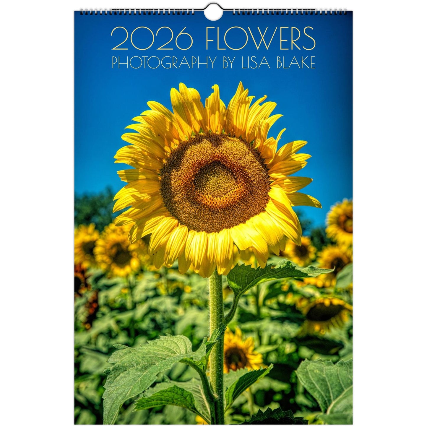 ac82ba65-bed9-4616-b0a4-fa5920a2229d