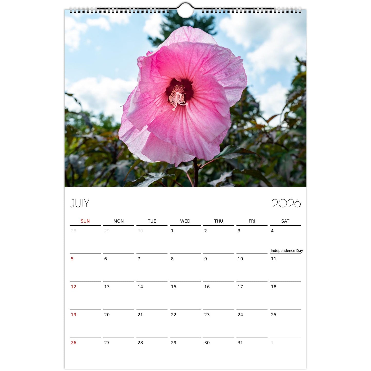 cbf53282-abff-4f1c-a811-7aec303d96dc