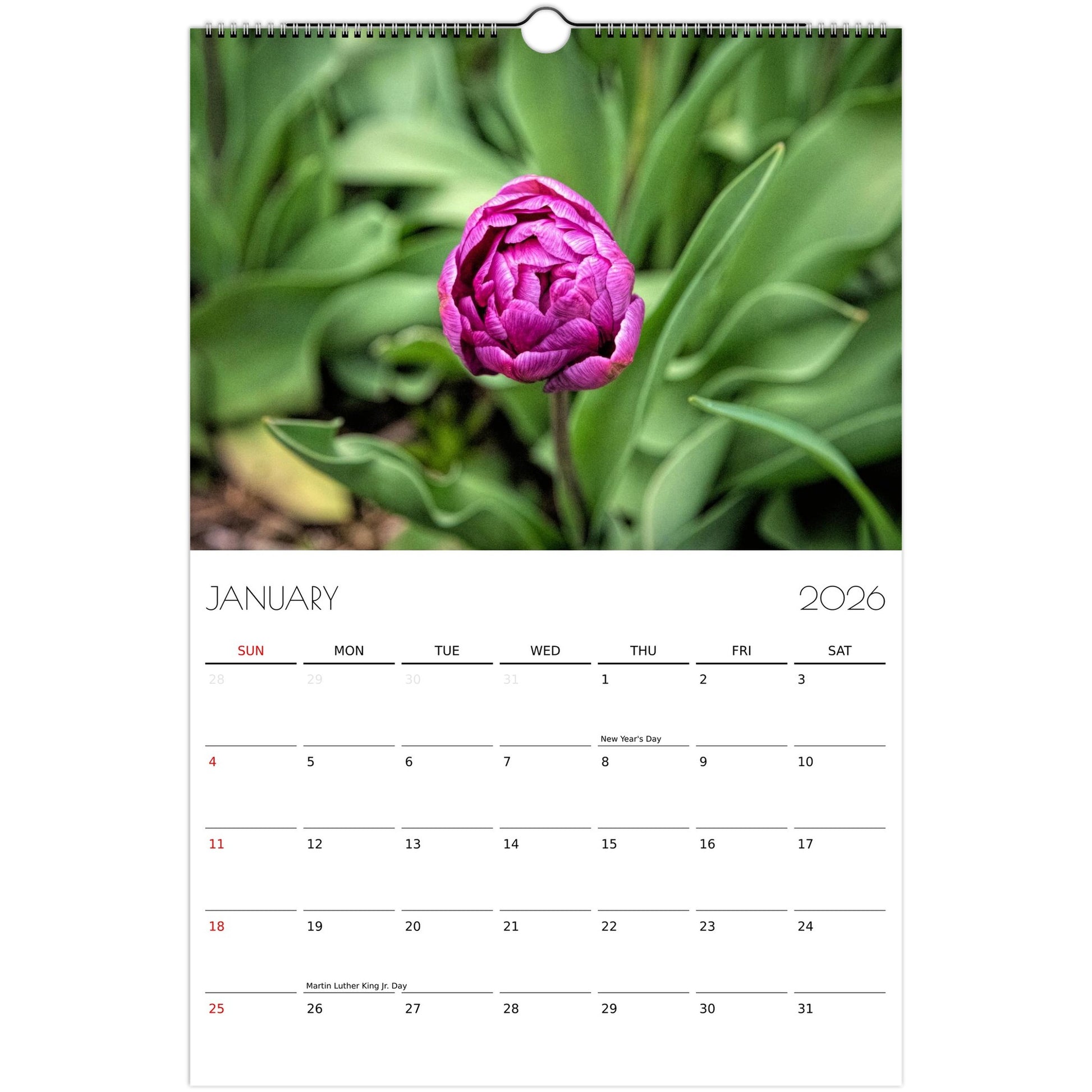 d56d1deb-1f1f-4eff-aba6-82c2e2cd11f6