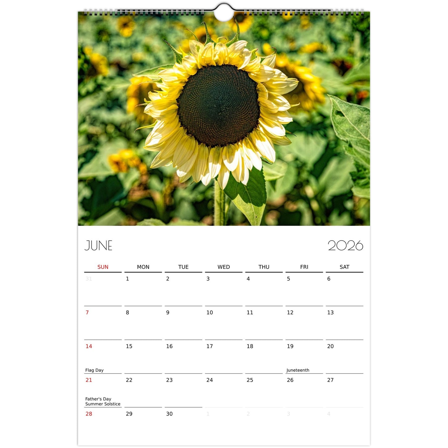 e99de4cd-5d7e-43e2-a039-1b0cfa13b4ec