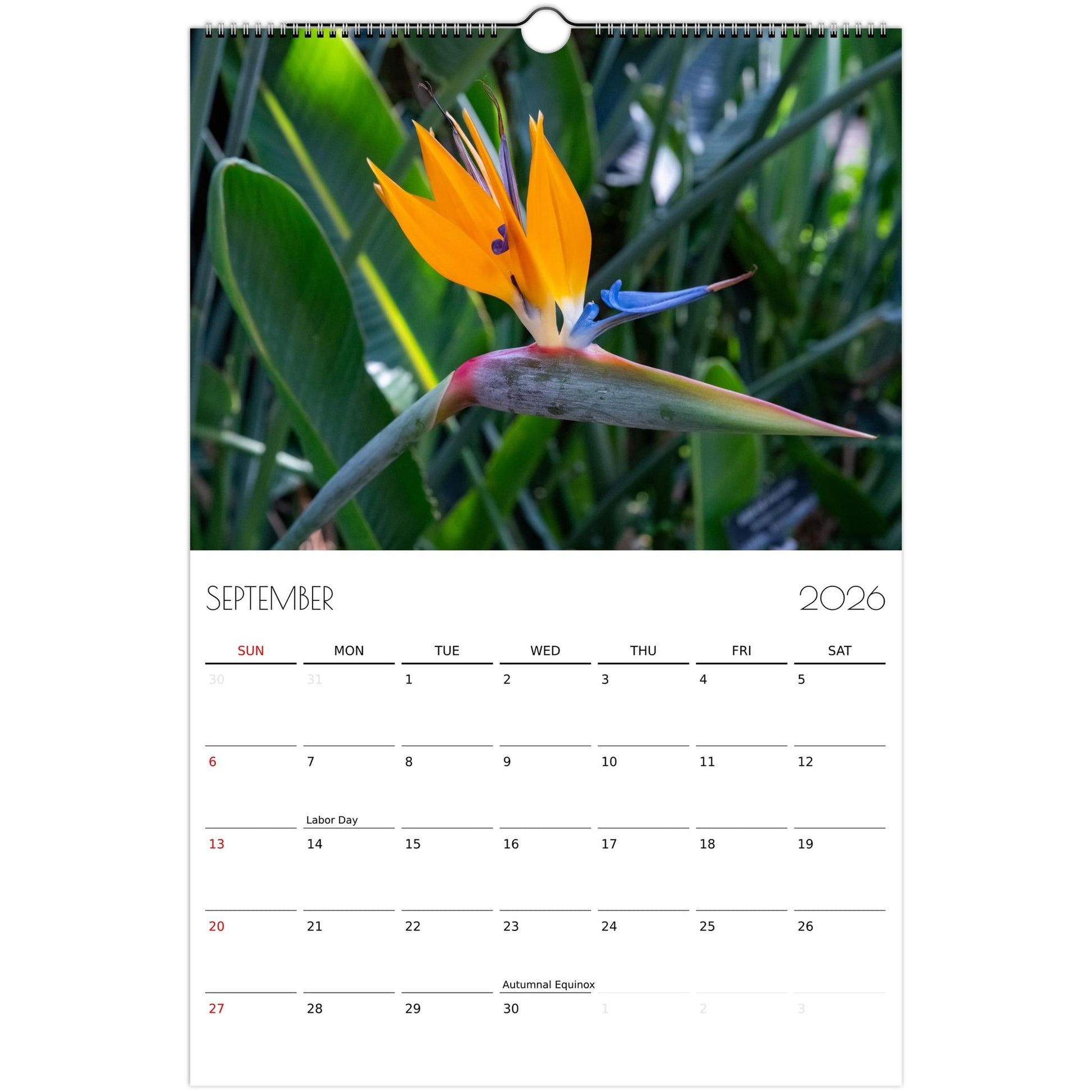 efdd3379-e99e-433b-93fc-b20bf57b5bfa