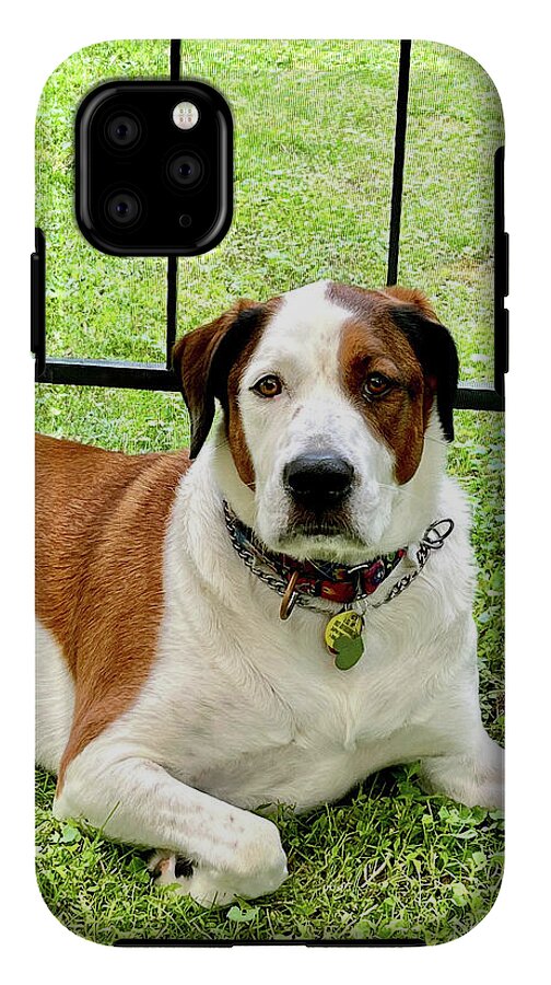 English Foxhound Labrador Retriever Mix Dog - Phone Case