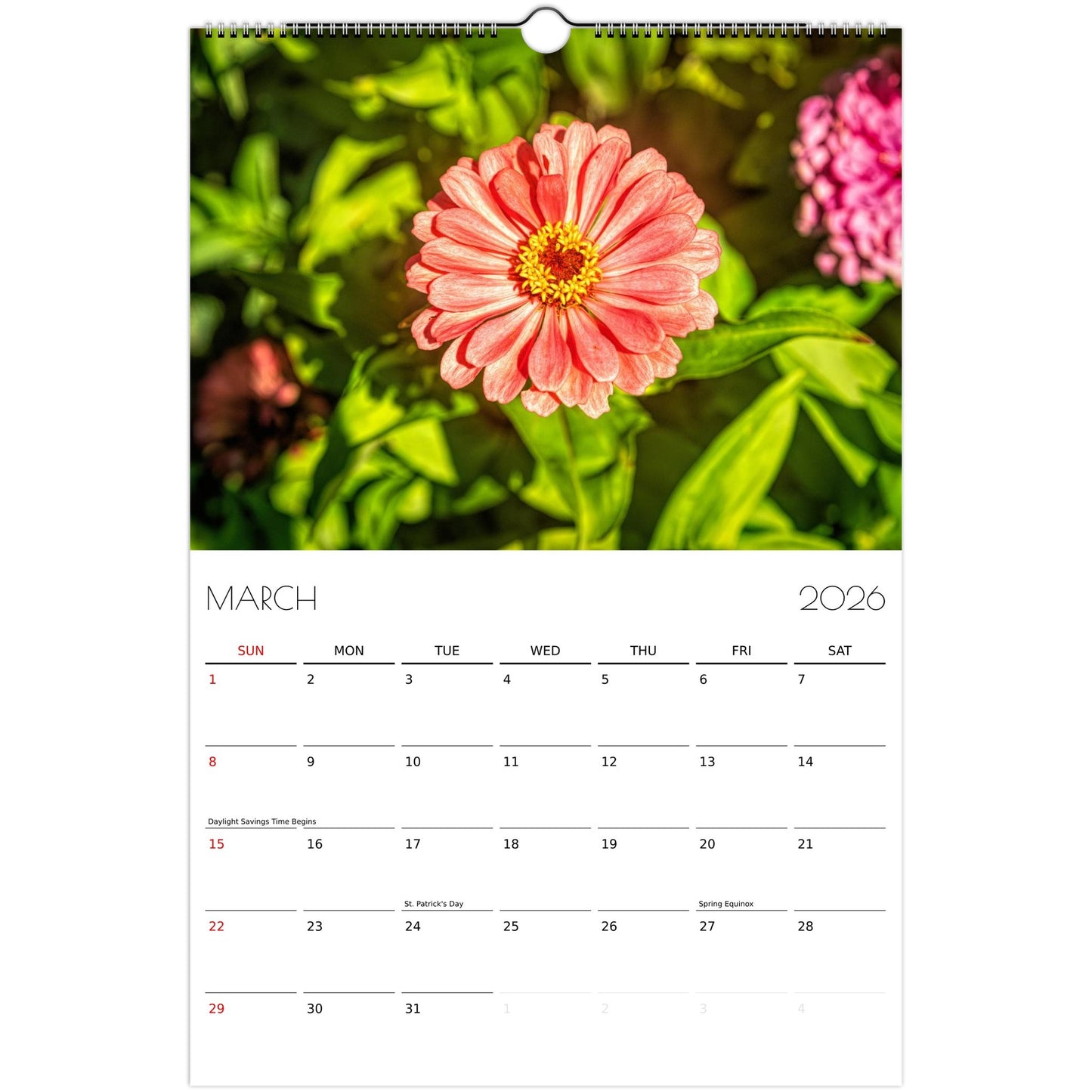 fbe6f76c-00a7-4d33-97a9-3d9d76d863e0