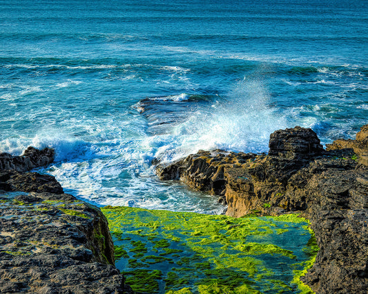 Ireland Photography featuring Sligo Bay with bright green moss on the rocky shore bathing in the crashing waves. 