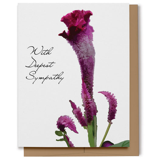 A sympathy card featuring a magenta celosia flower on a white background with scrip text which reads, "With Deepest Sympathy".